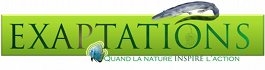 Bannière Exaptation